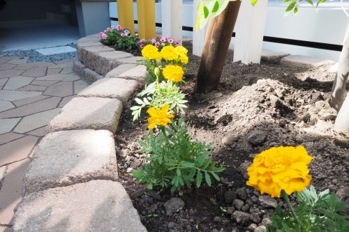 花壇に植えられたお花