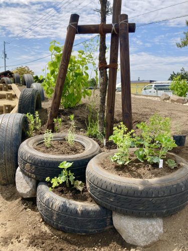 タイヤの中に植えられたハーブや宿根草